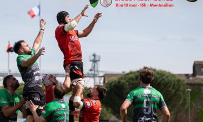 Programme phases finales